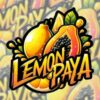 Lemonpaya Fast Buds Seeds